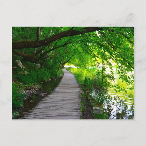 Hiking Path in Plitvice National Park in Croatia Postcard