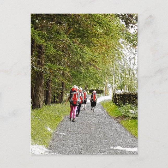 HIKING POSTCARD (Front)