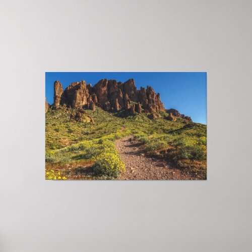 Hiking Superstition Mountains Spring Arizona 60x40 Canvas Print