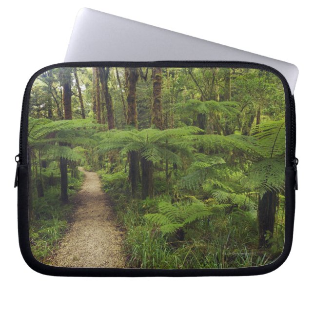 Hiking trail in rainforest with fern trees - laptop sleeve (Front)