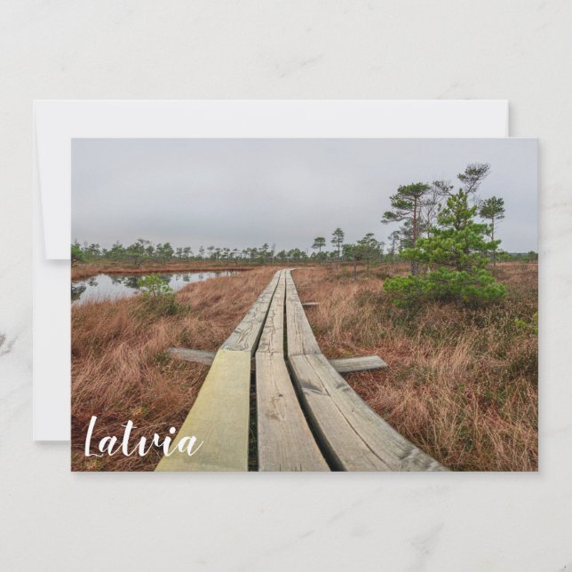 Hiking trail in swamp (Front)