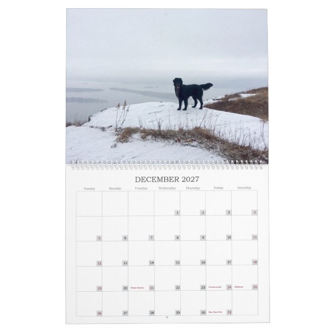 Hiking With Hazel 2022 Calendar (Dec 2027)