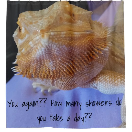 Hilarious Bearded Dragon Up Close Photo Print Shower Curtain Hilarious Bearded Dragon Up Close Photo Print Shower Curtain
