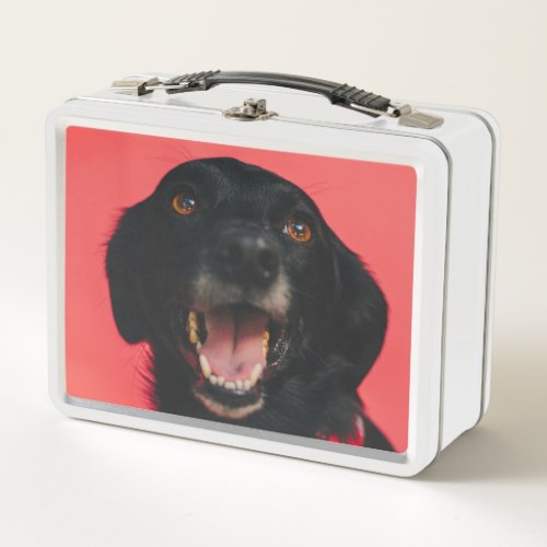 Hilarious Black Lab on Red Background Smile Metal Lunch Box