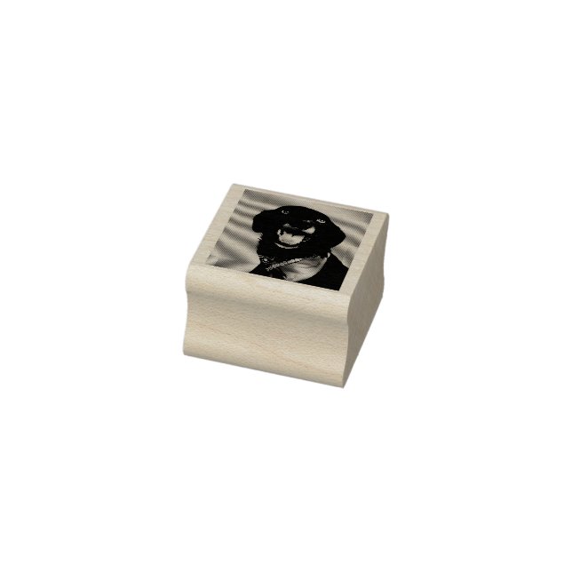 Hilarious Black Lab on Red Background Smile Rubber Stamp (Stamp)