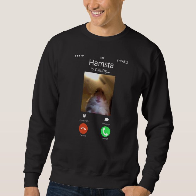 Hilarious Dank Meme Hamster Calling Front Camera V Sweatshirt (Front)