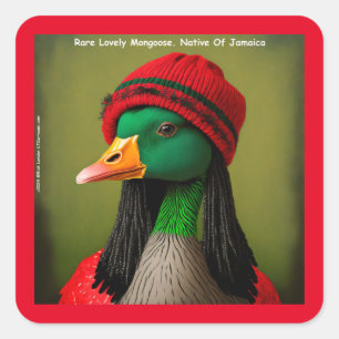 Hilarious Jamaican Mongoose Canadian Reggae Goose Square Sticker