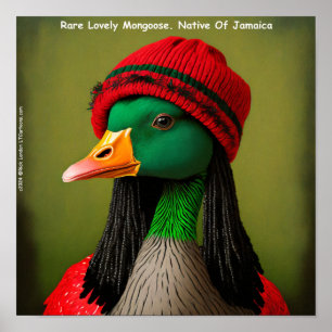 Hilarious Jamaican Mongoose Reggae Goose  Poster