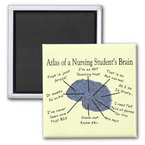 Hilarious Nursing Student Brain Gifts Magnet