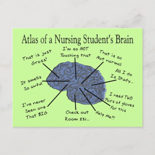 Hilarious Nursing Student Brain Gifts Postcard