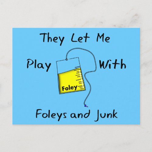 Hilarious Nursing Student Gifts Foleys and Junk Postcard