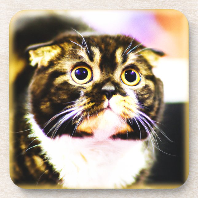 Hilarious Photo of a Funny Cat. Buy Now Beverage Coaster (Front)