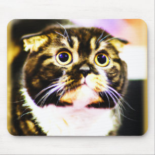 Hilarious Photo of a Funny Cat. Buy Now Mouse Pad