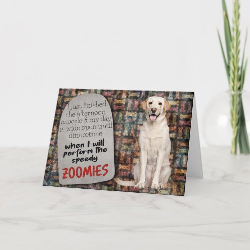 Hilarious thought from your Labrador Birthday Card