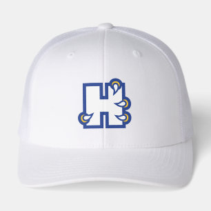 Hilbert College H