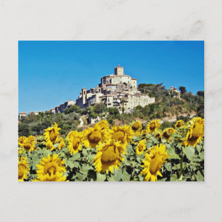 Hill town of Narni, Umbria, Italy flowers Postcard