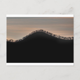 Hill with trees at sunset postcard