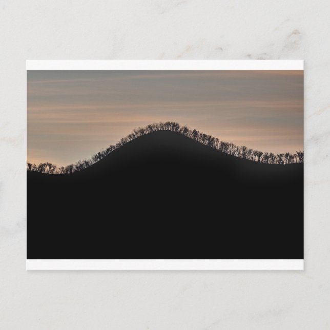Hill with trees at sunset postcard (Front)