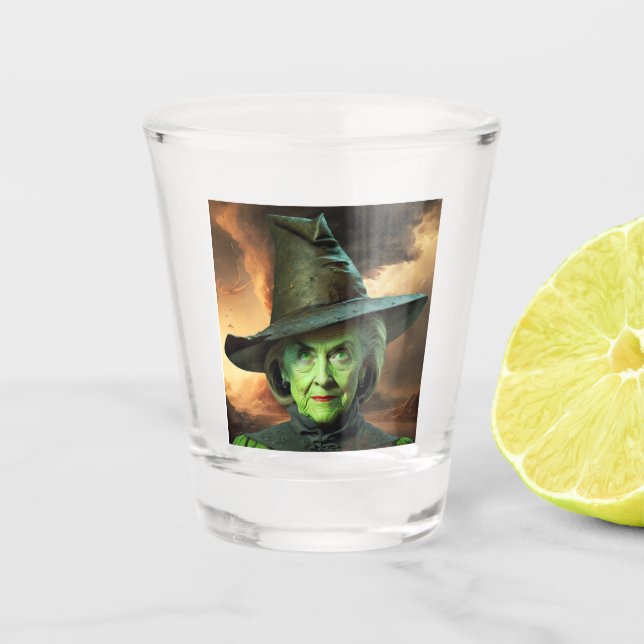 Hillary Cinton Wicked Witch of The United States   Shot Glass (Front)