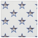 Hillary Clinton Stars Fabric