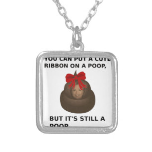Hillary Poop Silver Plated Necklace