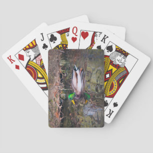 Hillcrest Duck Poker Cards