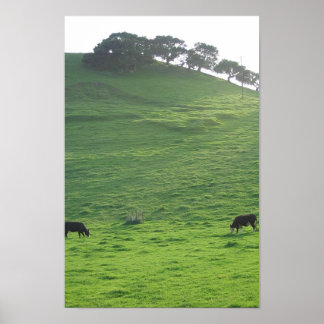 Hills on 227 poster