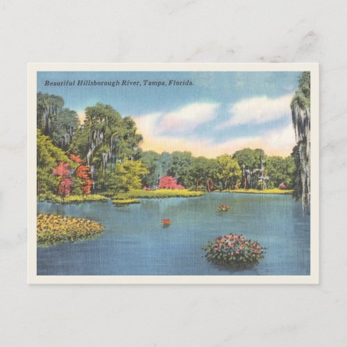 Hillsborough River Tampa Florida Vintage Scene Postcard
