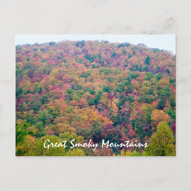 Hillside in Color Postcard (Front)