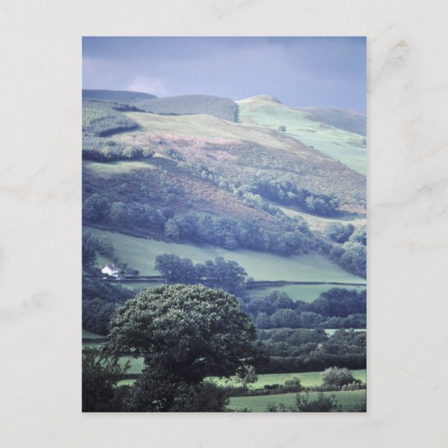 Hillside in Wales UK postcard (Front)