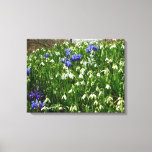 Hillside of Early Spring Flowers Landscape Canvas Print