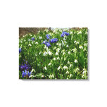 Hillside of Early Spring Flowers Landscape Canvas Print