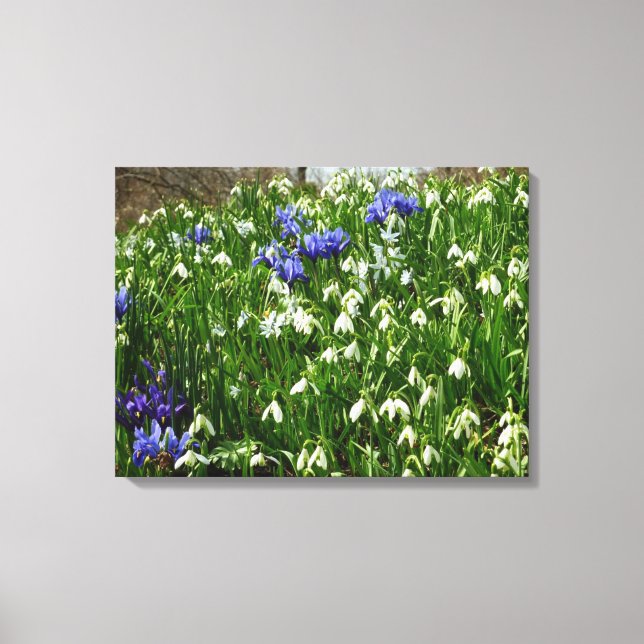 Hillside of Early Spring Flowers Landscape Canvas Print (Front)