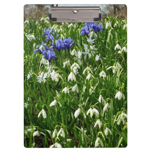 Hillside of Early Spring Flowers Landscape Clipboard