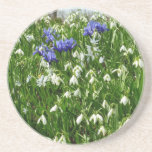 Hillside of Early Spring Flowers Landscape Coaster