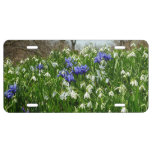 Hillside of Early Spring Flowers Landscape License Plate