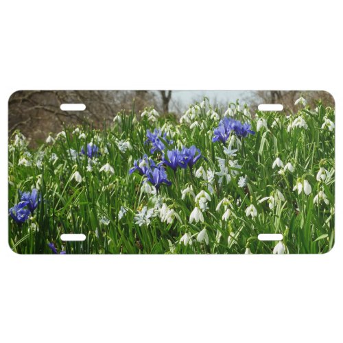 Hillside of Early Spring Flowers Landscape License Plate