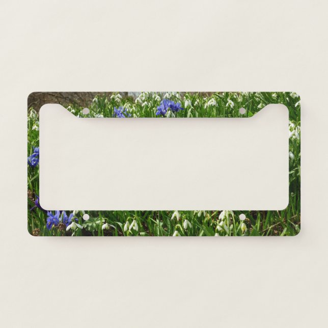 Hillside of Early Spring Flowers Landscape License Plate Frame (Front)
