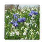 Hillside of Early Spring Flowers Landscape Magnet