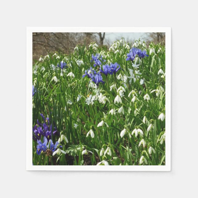 Hillside of Early Spring Flowers Landscape Napkins (Front)