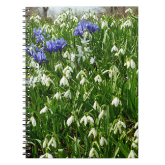 Hillside of Early Spring Flowers Landscape Notebook