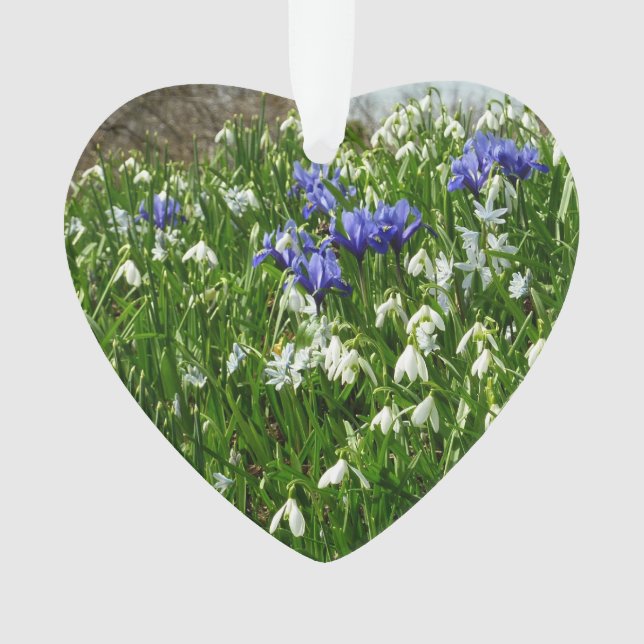 Hillside of Early Spring Flowers Landscape Ornament (Front)