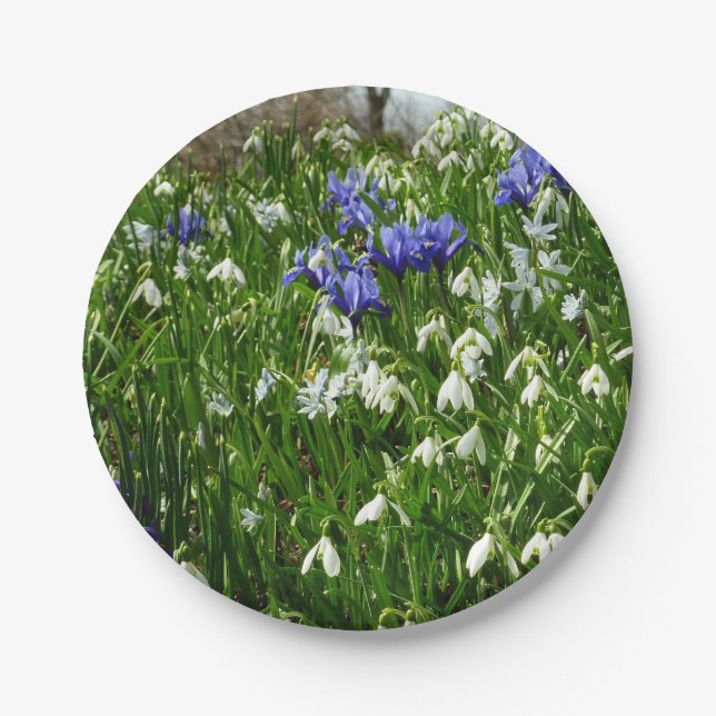Hillside of Early Spring Flowers Landscape Paper Plates (Front)