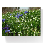 Hillside of Early Spring Flowers Landscape Paperweight