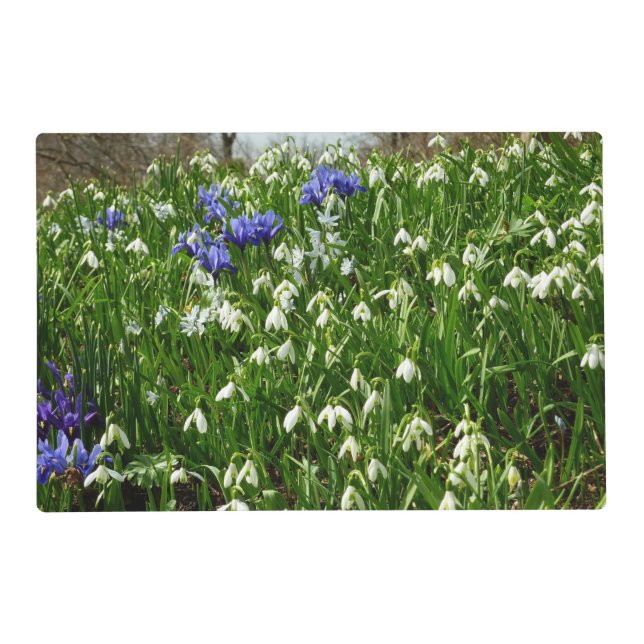 Hillside of Early Spring Flowers Landscape Placemat (Front)