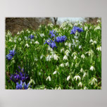 Hillside of Early Spring Flowers Landscape Poster
