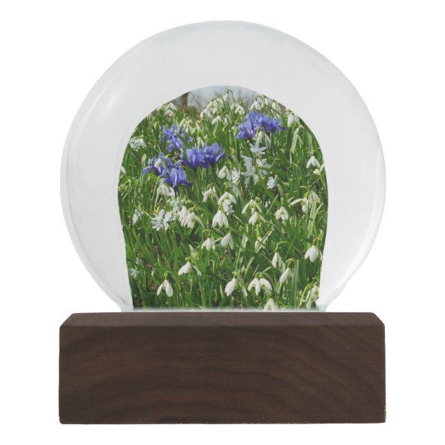 Hillside of Early Spring Flowers Landscape Snow Globe (Front)