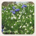 Hillside of Early Spring Flowers Landscape Square Paper Coaster