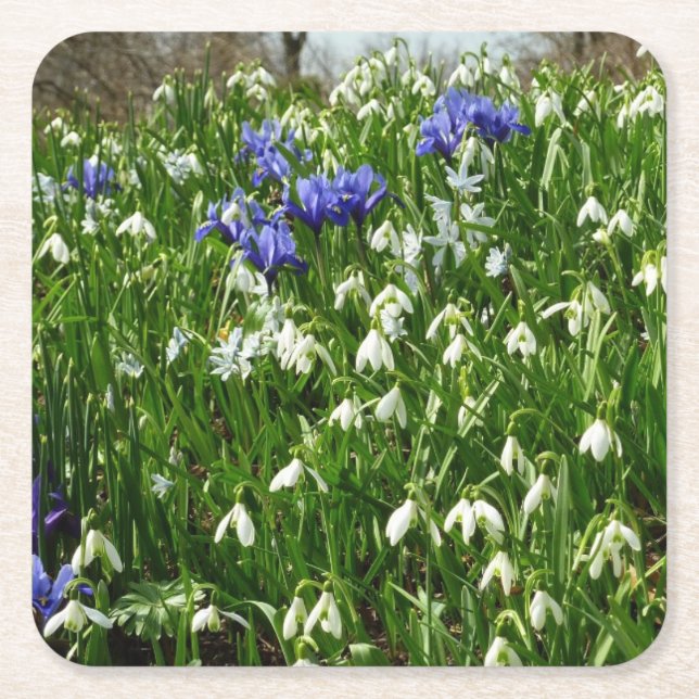 Hillside of Early Spring Flowers Landscape Square Paper Coaster (Front)