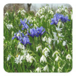 Hillside of Early Spring Flowers Landscape Square Sticker